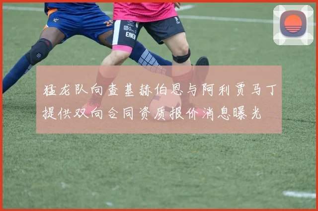 猛龙队向查基赫伯恩与阿利贾马丁提供双向合同资质报价消息曝光